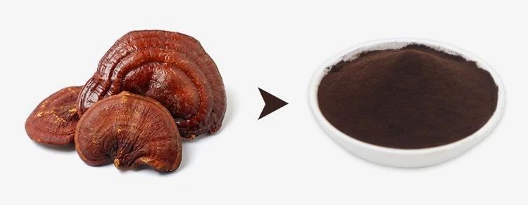 Reishi Spore Powder 1