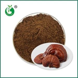 Účinky a kontraindikace Spore Powder Ganoderma