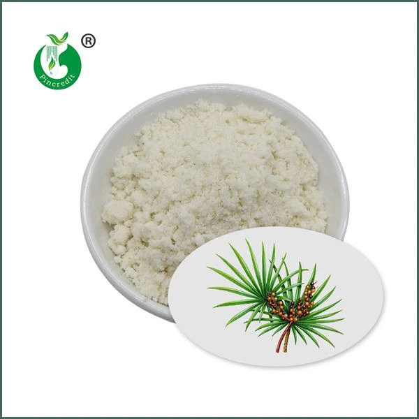 Extrakční prášek Saw Palmetto