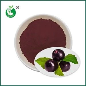 Acai Berry Juice Powder