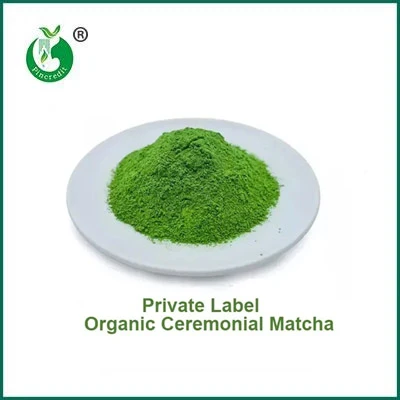Jaký je rozdíl mezi práškem Matcha a práškem ze zeleného čaje?