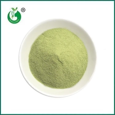 NOVINKA: Matcha Latte Powder
