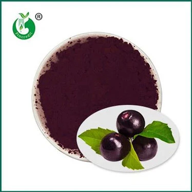 Je pro vás Pure Acai dobré?