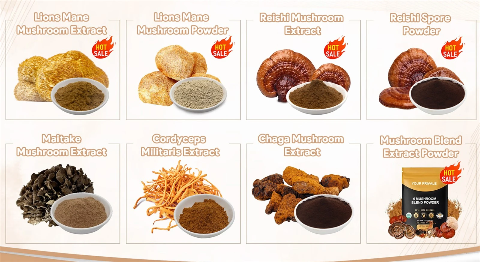 Organic Mushroom Extract Powder