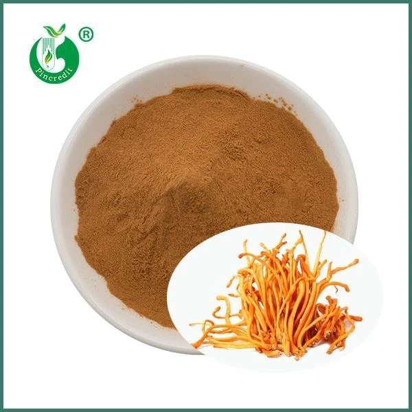 Organický extrakt z houby Cordyceps Militaris
