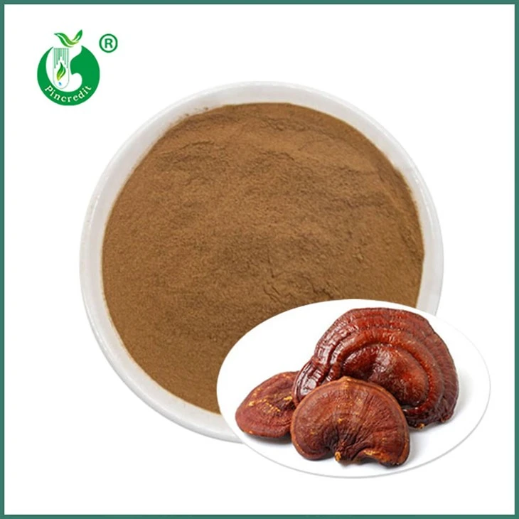 Reishi extrakt prášek
