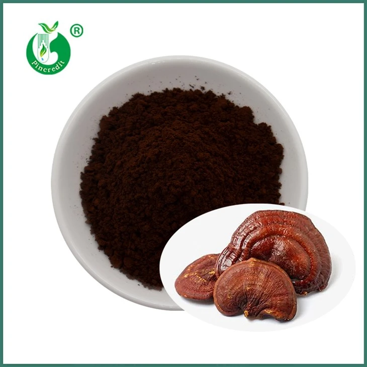 Prášek Reishi Spore